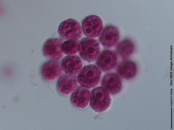 U001 100x.jpg